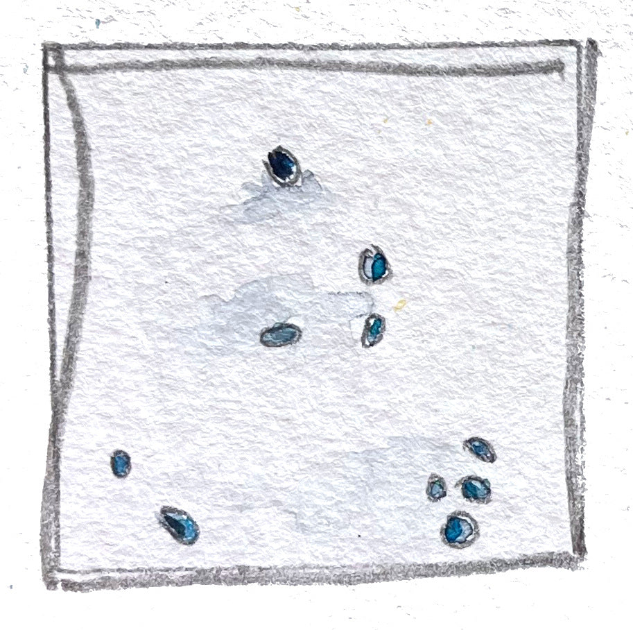 Buntgetupft- Gedichte und Miniaturen