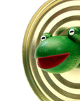 Magnetfrosch Helmut